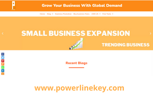 writing a small scale business plan in bengali