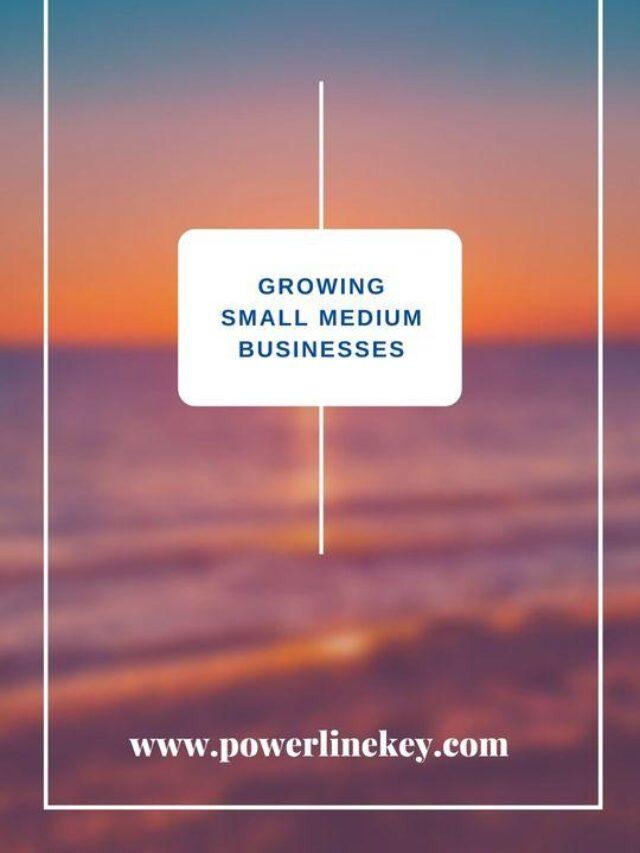 Read more about the article Top16 growing Micro Small Medium Enterprises | Trending Business Ideas after lockdown