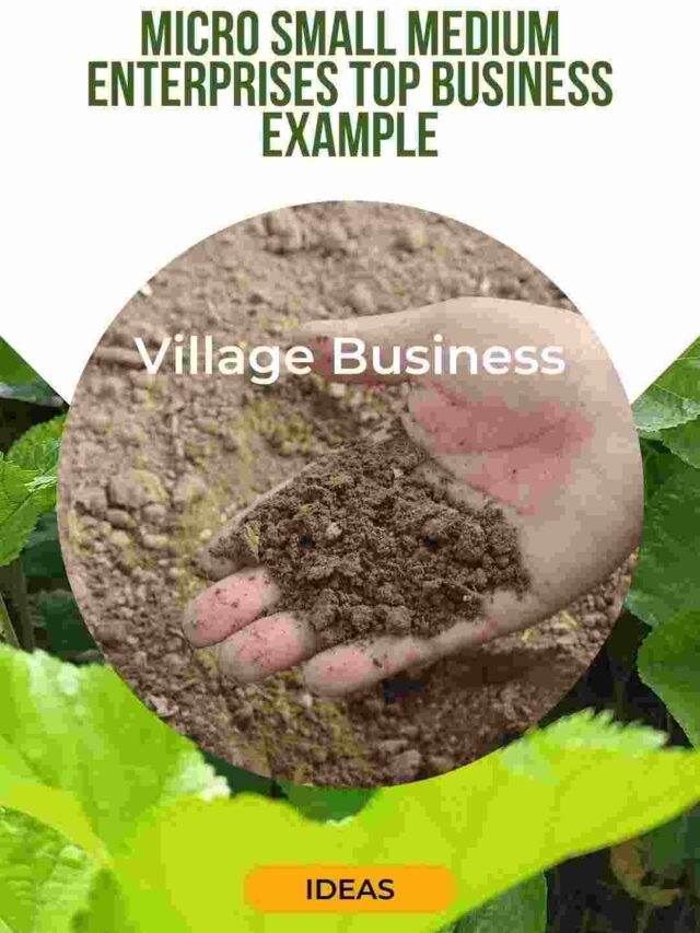 Read more about the article Micro Small Medium Enterprises Example Silk Business Ideas Part-1