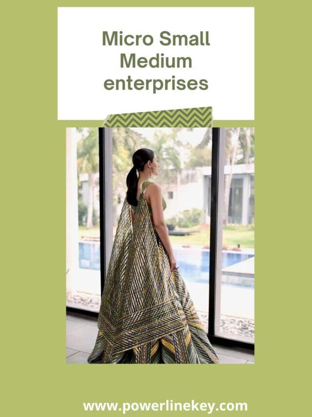 Read more about the article Micro Small Medium Enterprises Village Business Ideas | Silkworm Cocoon part-2