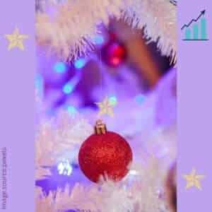 Read more about the article Setting up a Business with Rising Christmas Demand