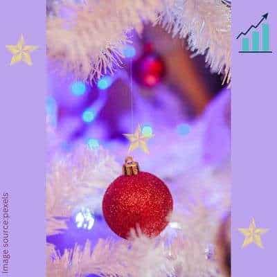 Read more about the article Setting up a Business with Rising Christmas Demand