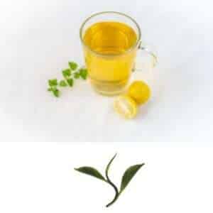 Read more about the article B2B- Wholesale Organic Tea Supplies – India | Starting a Tea Business | Tea Processing