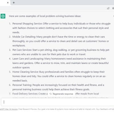 Find business opportunities or ideas using the chat gpt system