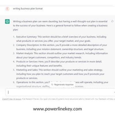 Writing your own business plan format using Chat GPT