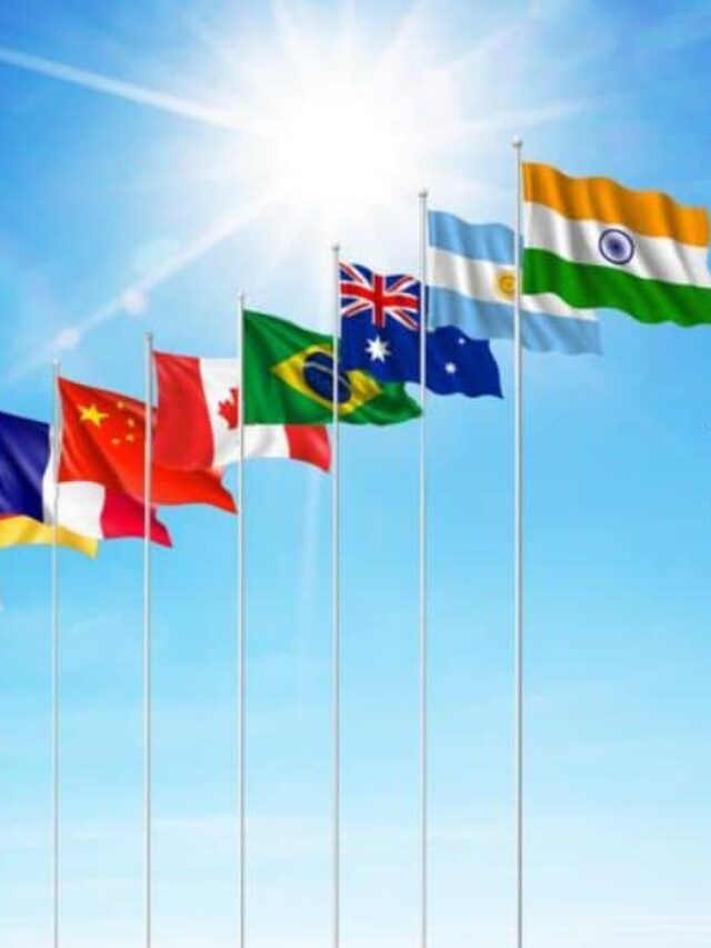 G20 Recommended Digital Policy and Formula